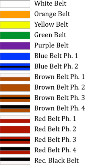 ninja belt colors in order